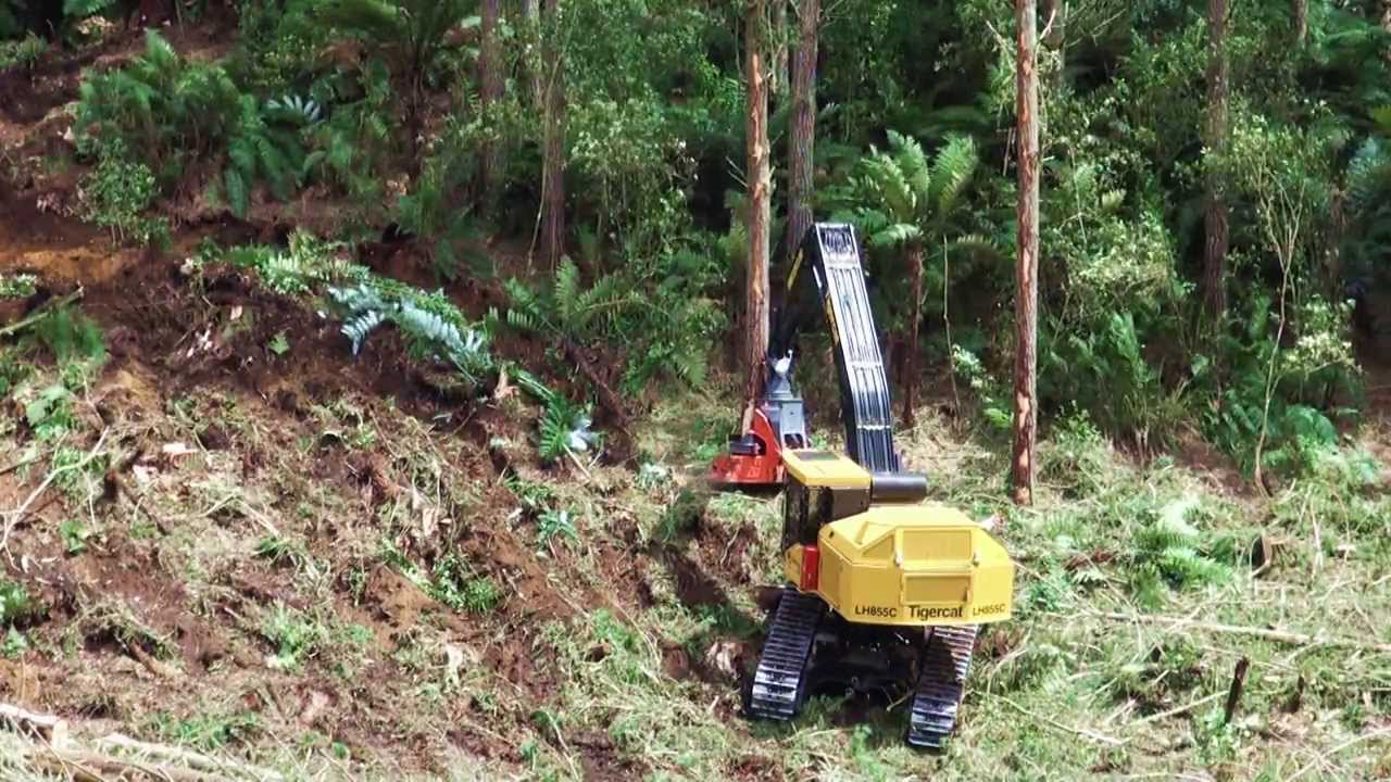 LH855C: big wood, steep terrain