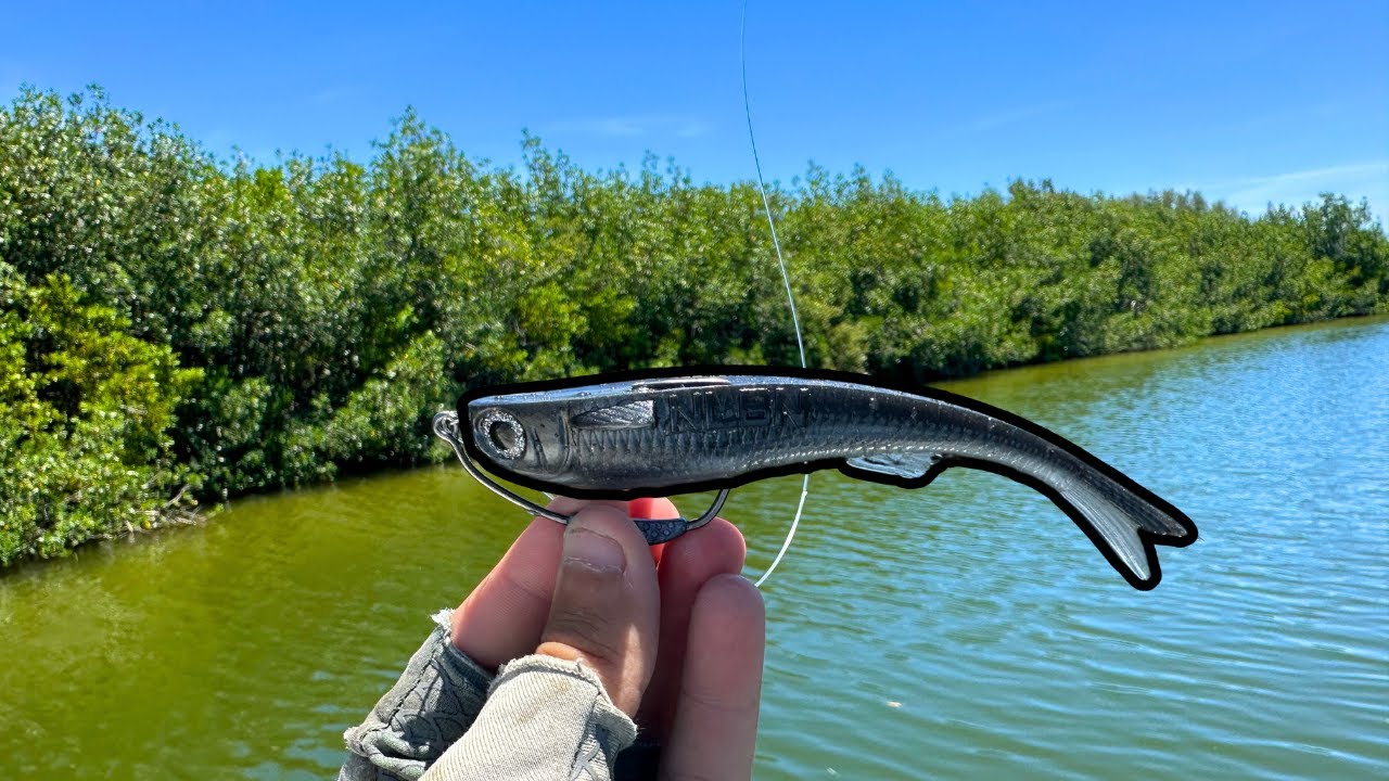 Fishing for Florida Giants (Massive Snook & Redfish)