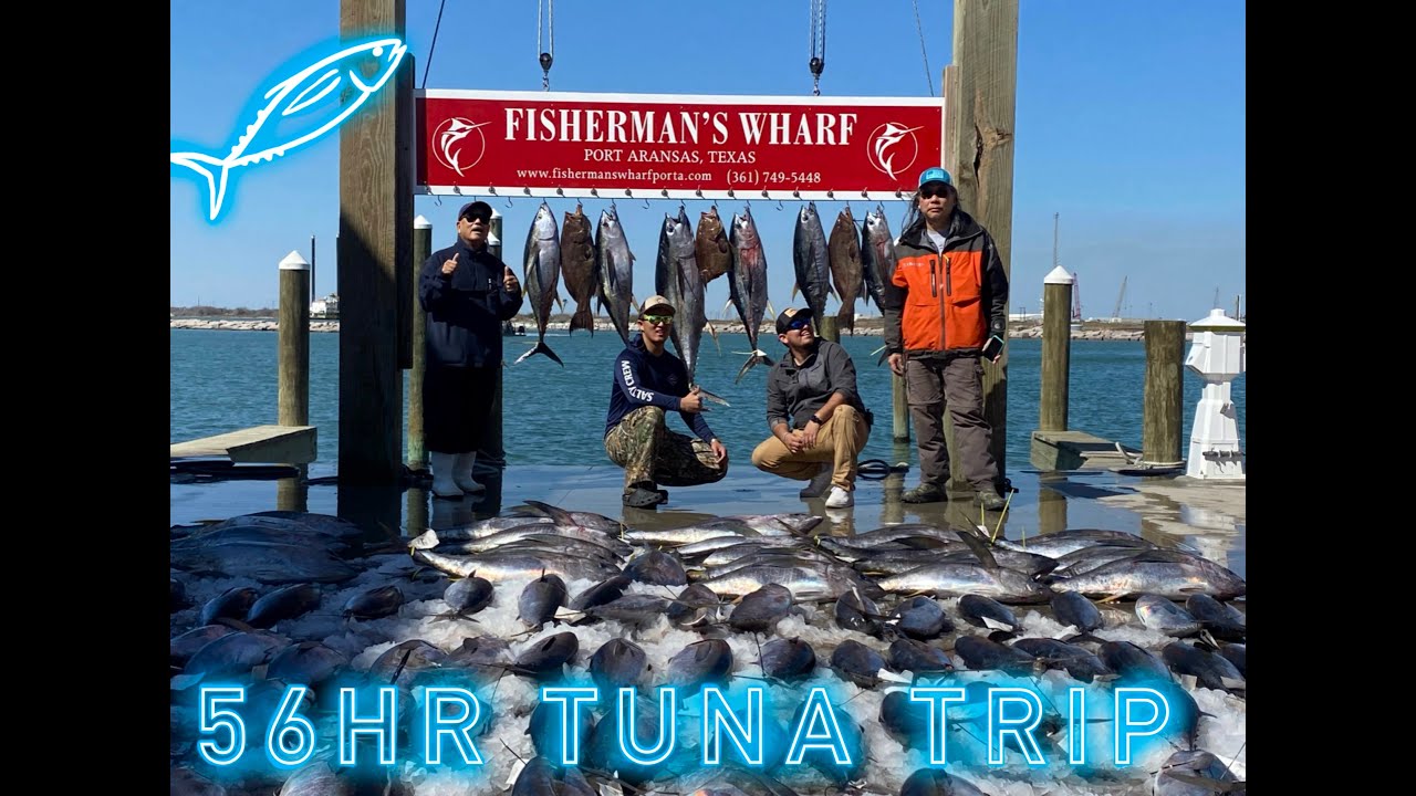 56 Hour Tuna Deep sea trip