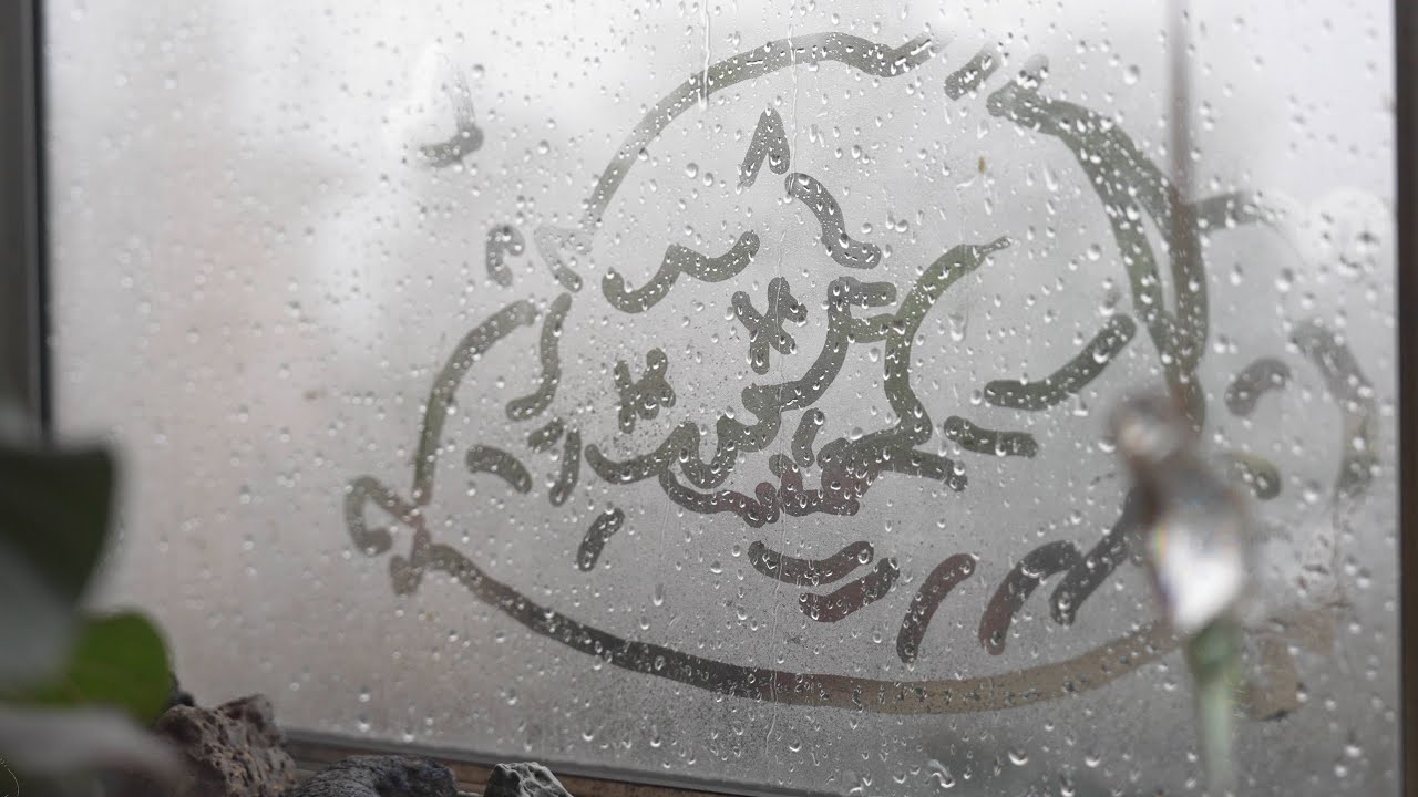 Listen to the Raindrops | Cozy Rainy Day at Home with my Cat
