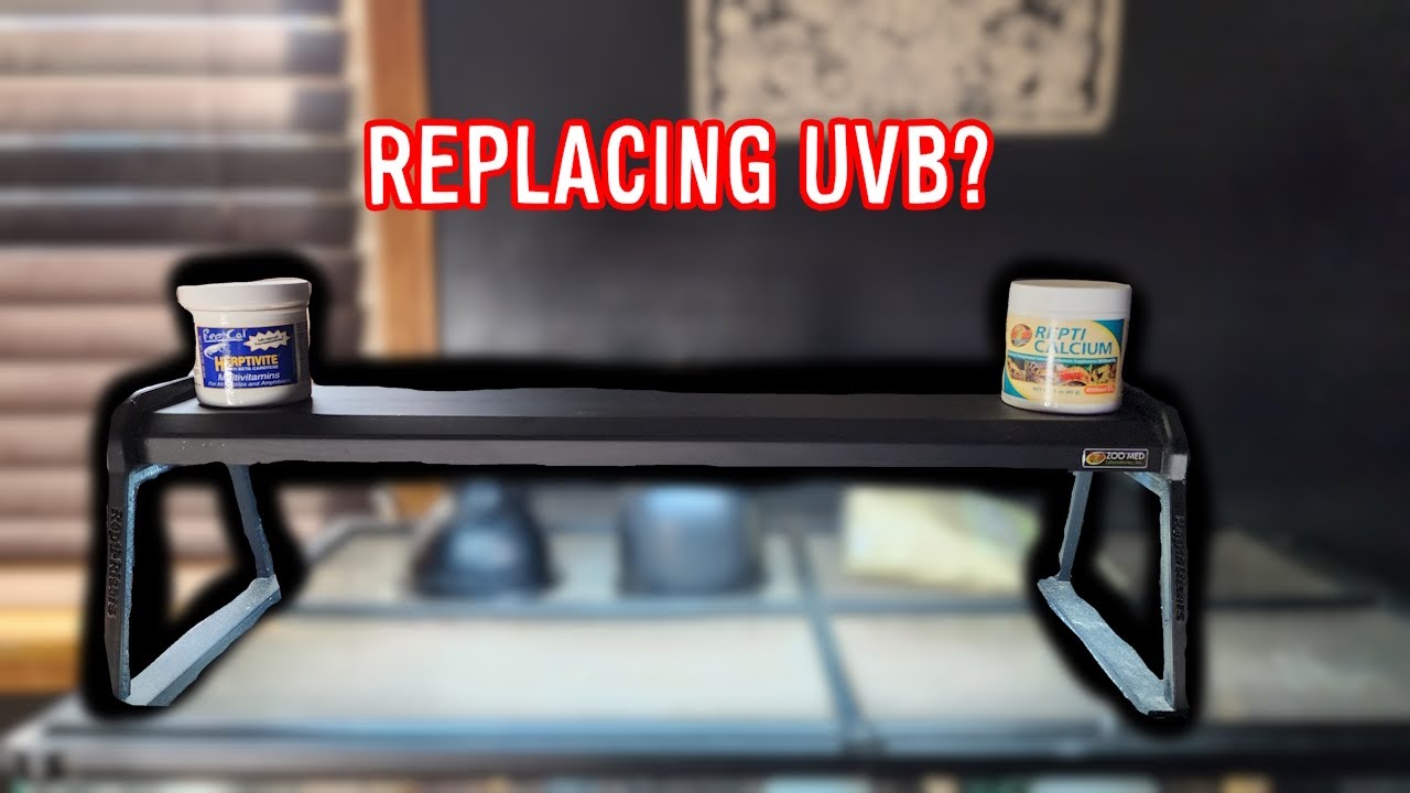 How to Quickly Replace Reptile UVB Bulb's Made Simple!