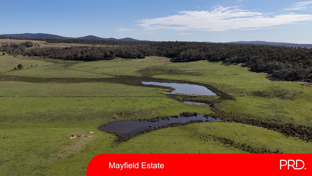 Mayfield Estate