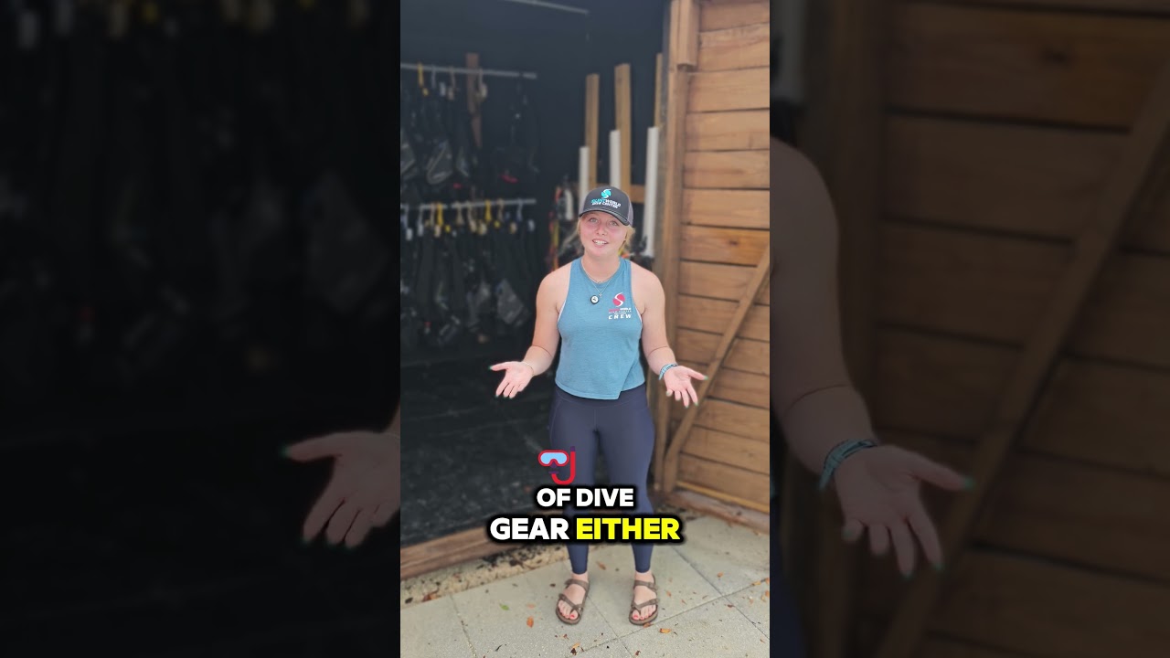 Don&rsquo;t Want to Travel with Dive Gear? We&rsquo;ve Got You! 🤿
