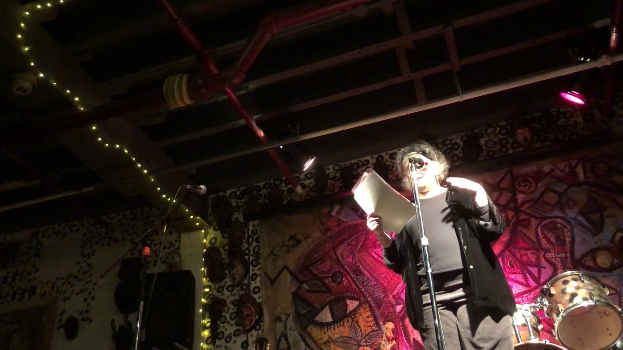 Lynne Shapiro - Reading Selected Poems, At Issyra Gallery, 3/3/18