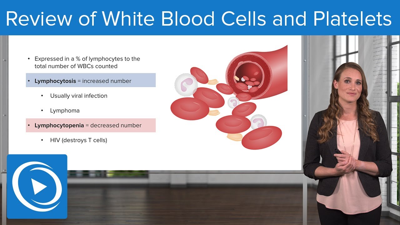 Review of White Blood Cells and Platelets – Pediatric Nursing | Lecturio Nursing