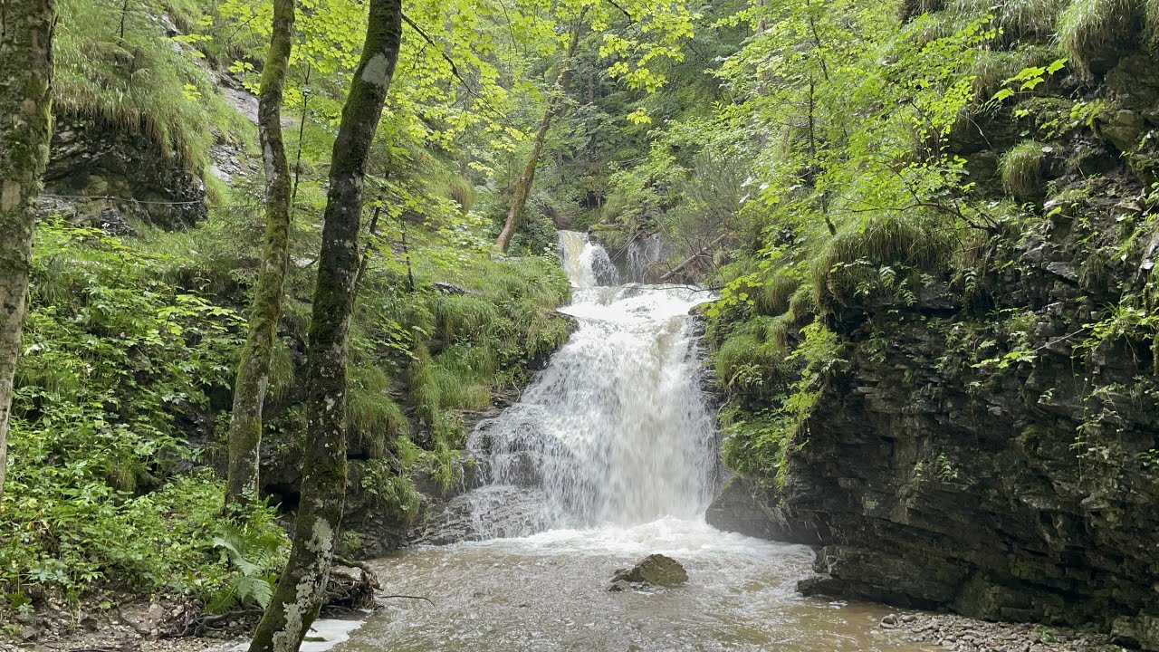 Hindelang - Wildbachtobel (01. August 2021)