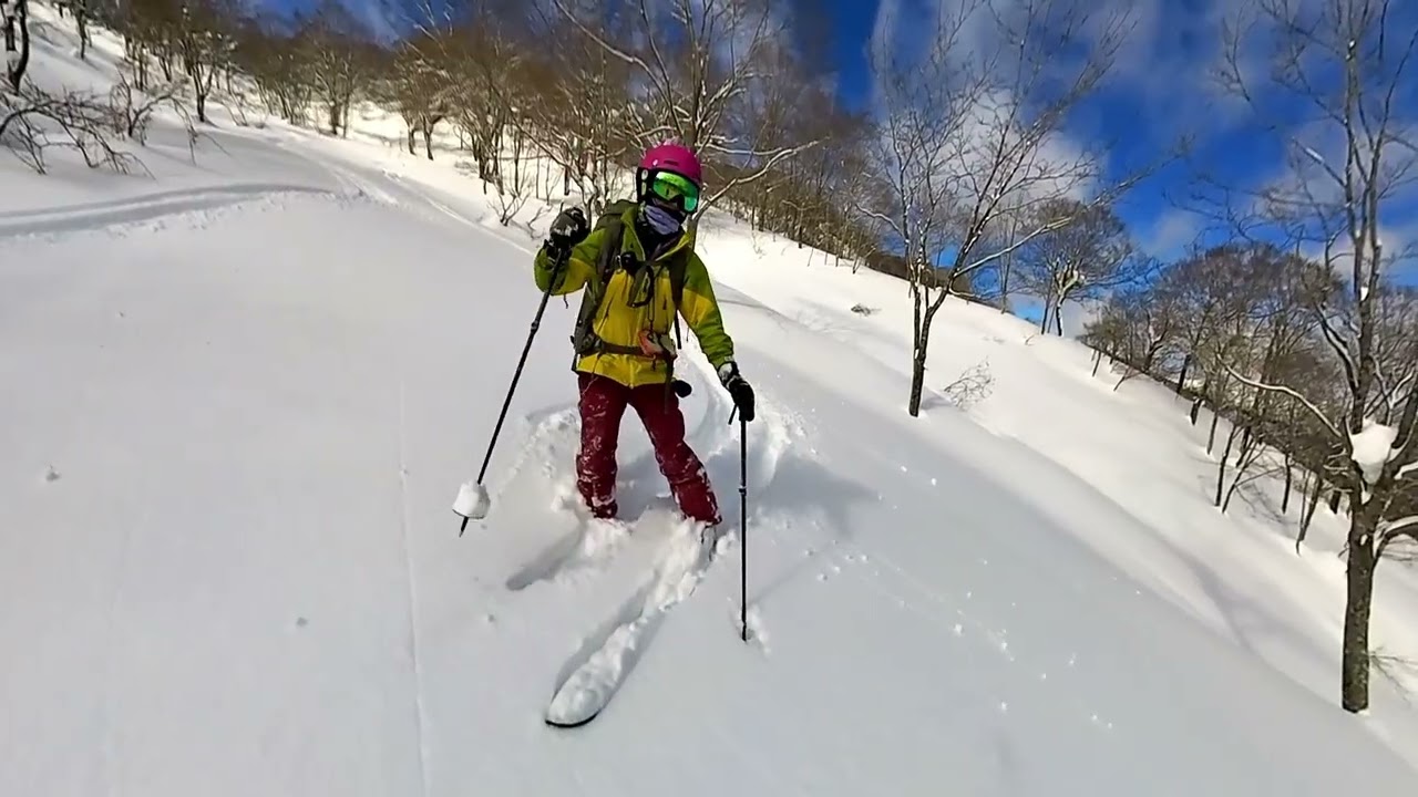 ブナの森パウダー大日ヶ岳編　2026 02 09