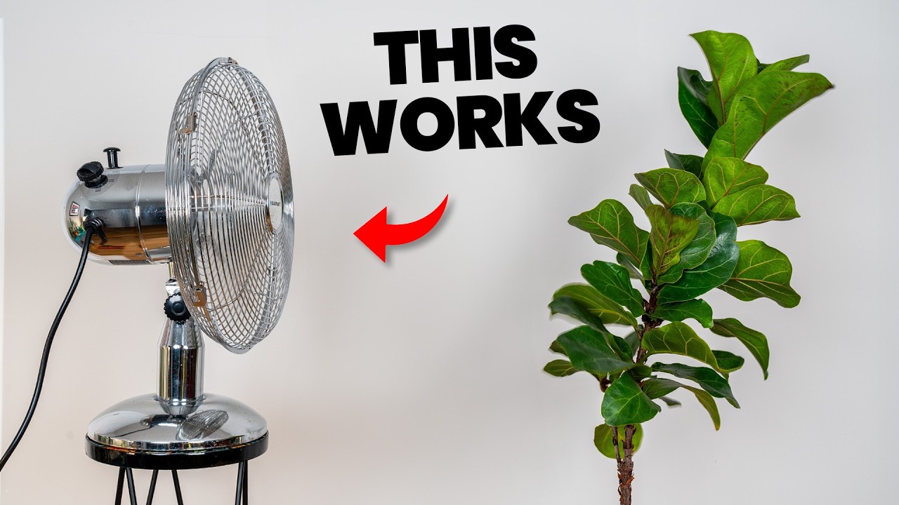 This ONE TRICK Will Transform How Your Plants Grow