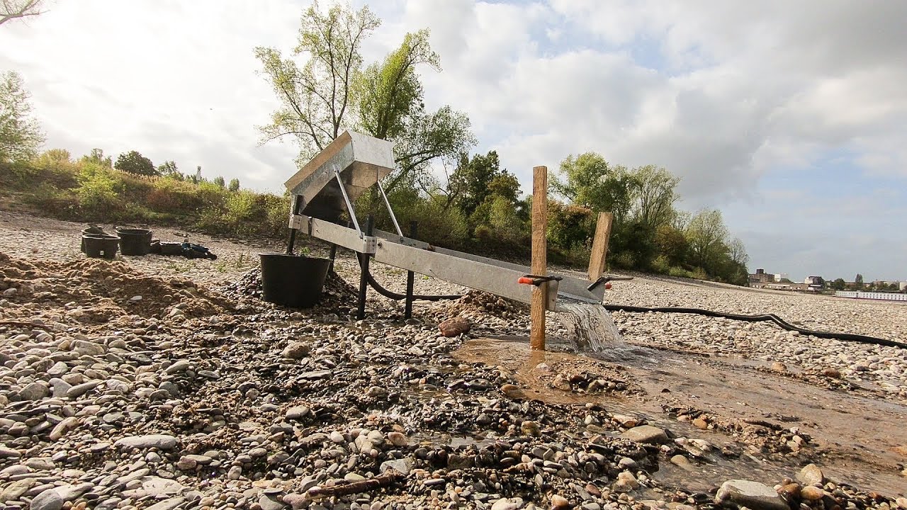 Goldwaschen am Rhein Teil 19: Erneut mit Beifund
