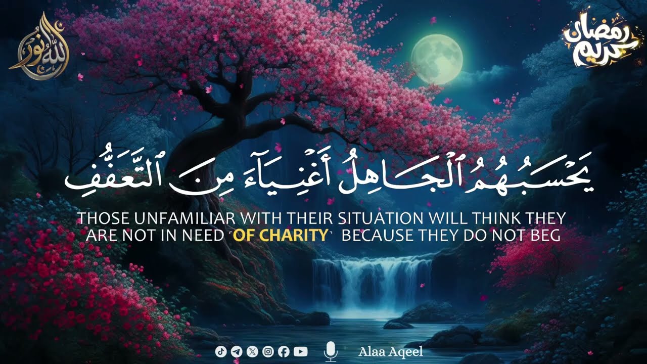 Para 3 (Juz 3) | Peaceful Quran to Calm Your Heart & Mind | Aalaa Aqeel