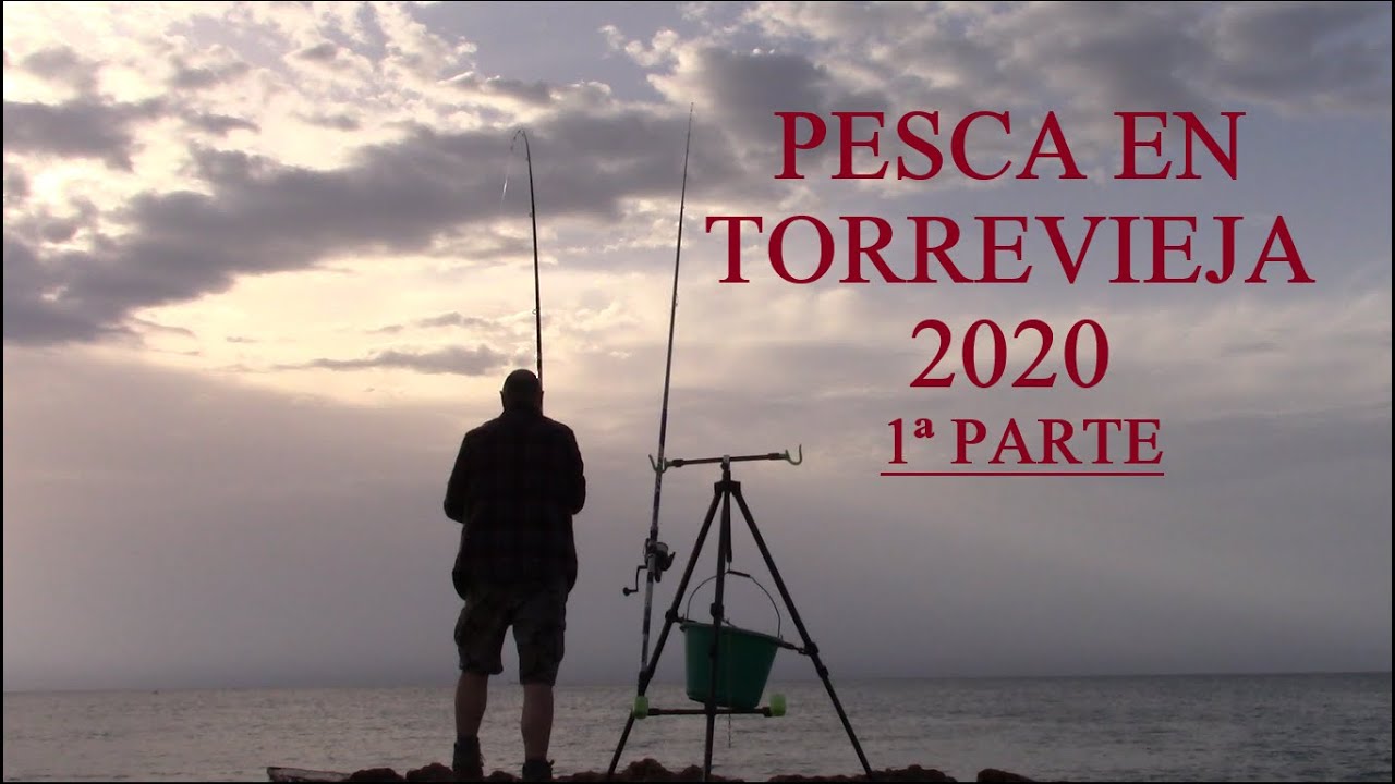 PESCA en TORREVIEJA 2020: 1ª Parte