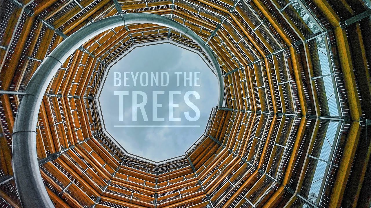 Beyond The Trees | Treetop Walk | Ireland | Wicklow #beyondthetrees #avondale