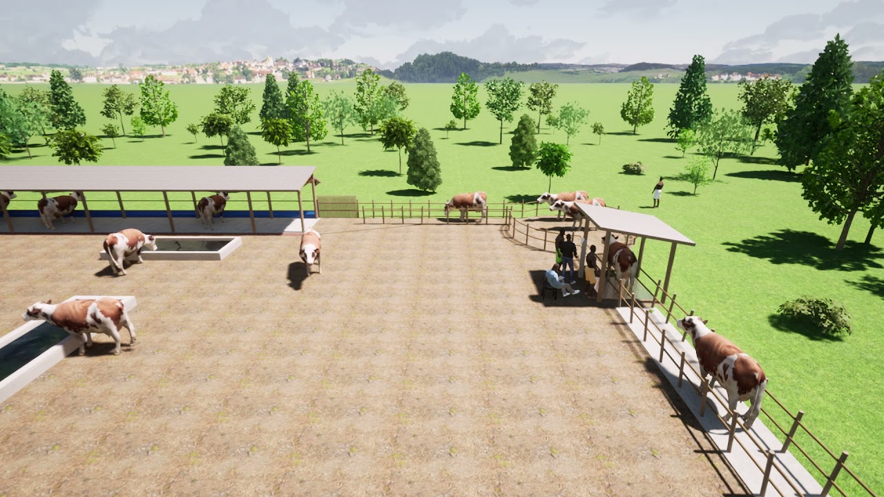 The 3D architectural design of the cheapest feedlot in Uganda ll Natwijuka Brian +256789491350