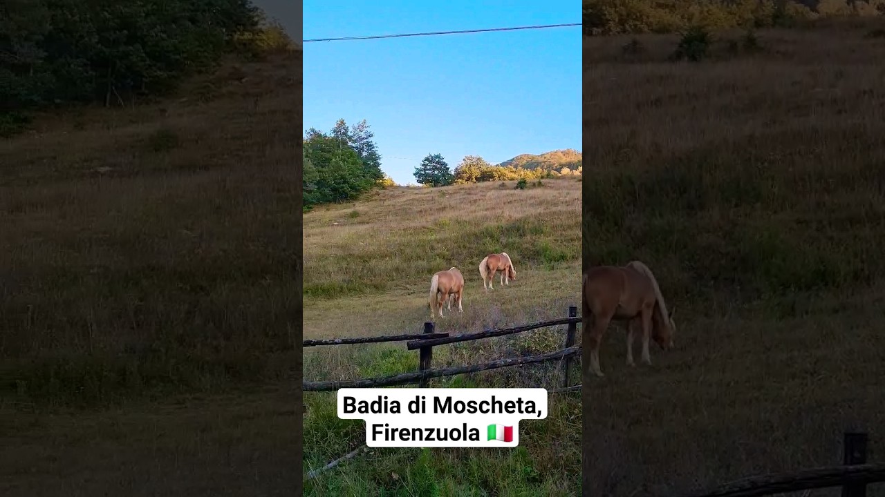 Badia di Moscheta, Firenzuola 🇮🇹