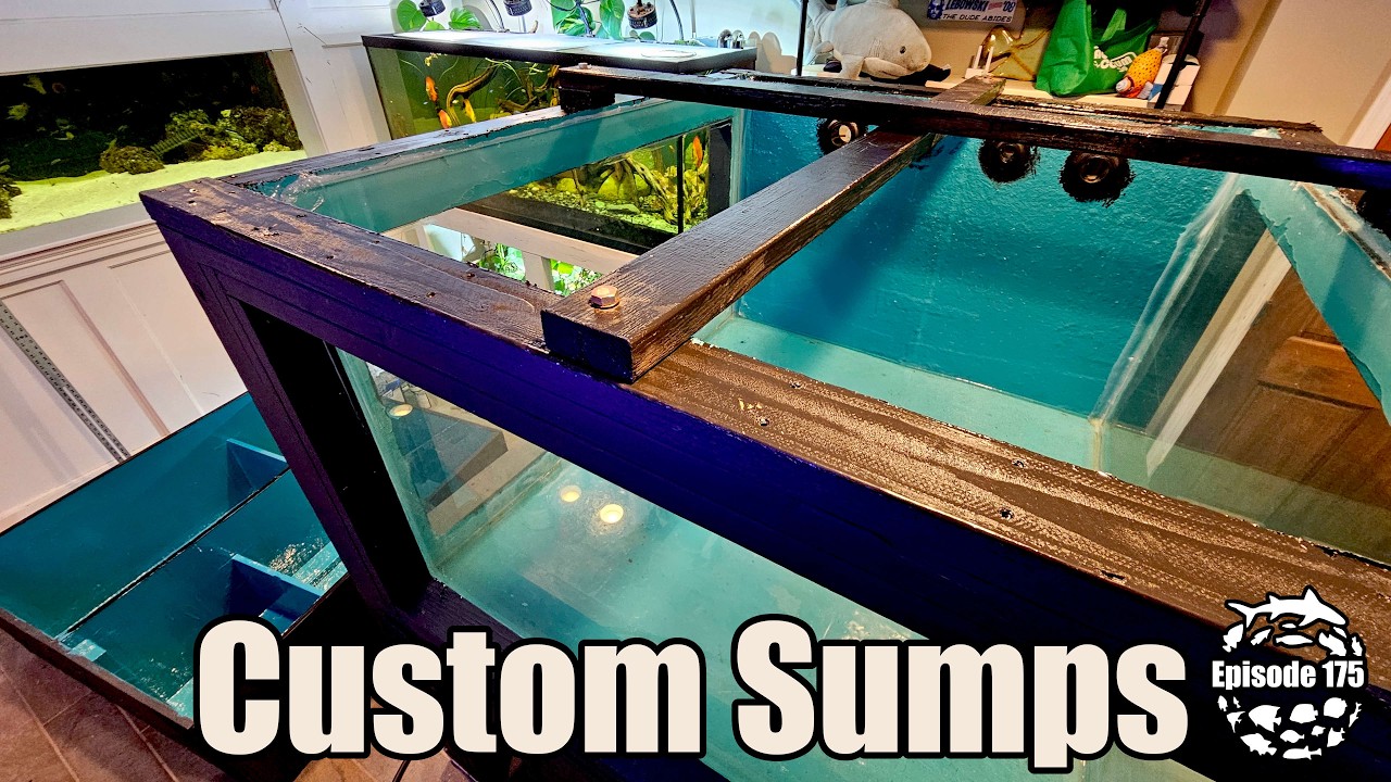 Building Custom Sumps for my 800 & 125 Gallon Aquariums