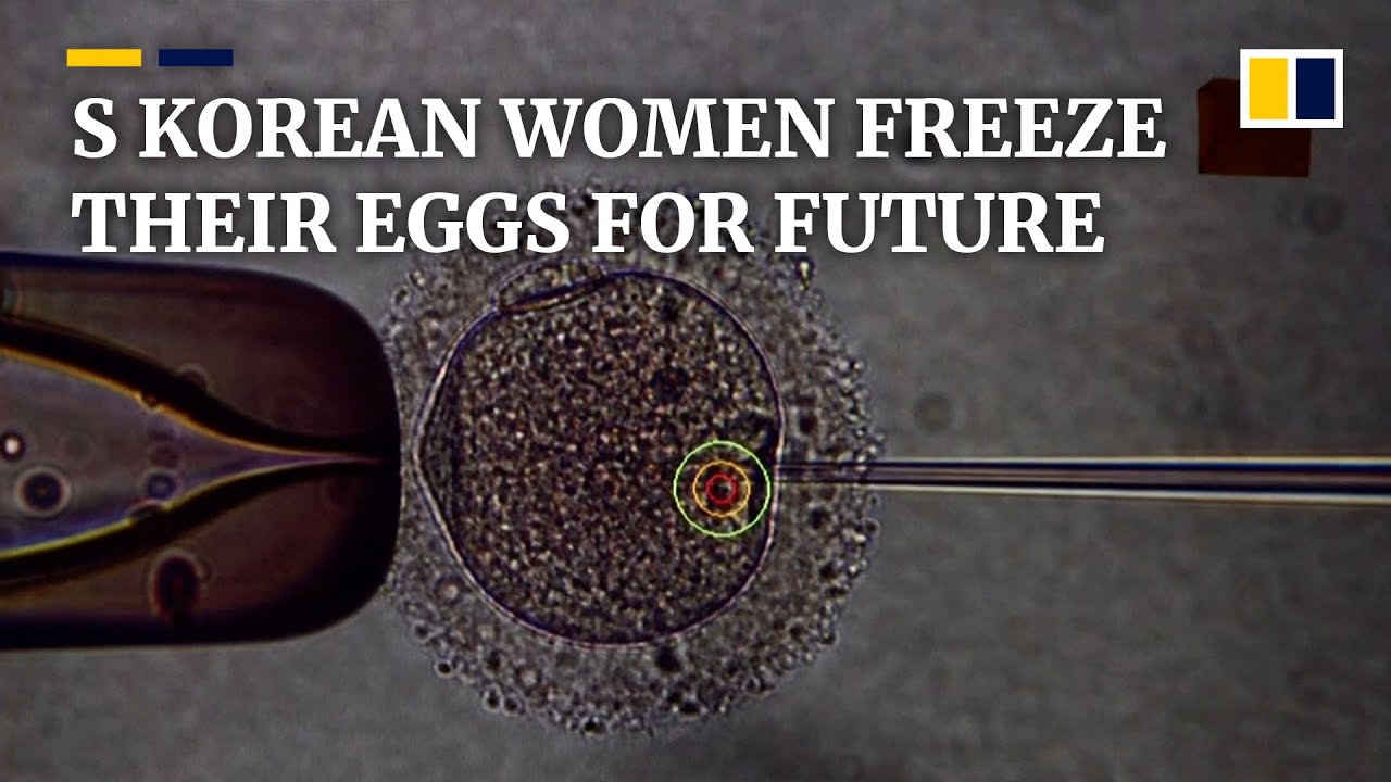 Freezing eggs in South Korea increasingly popular for forward-planning women