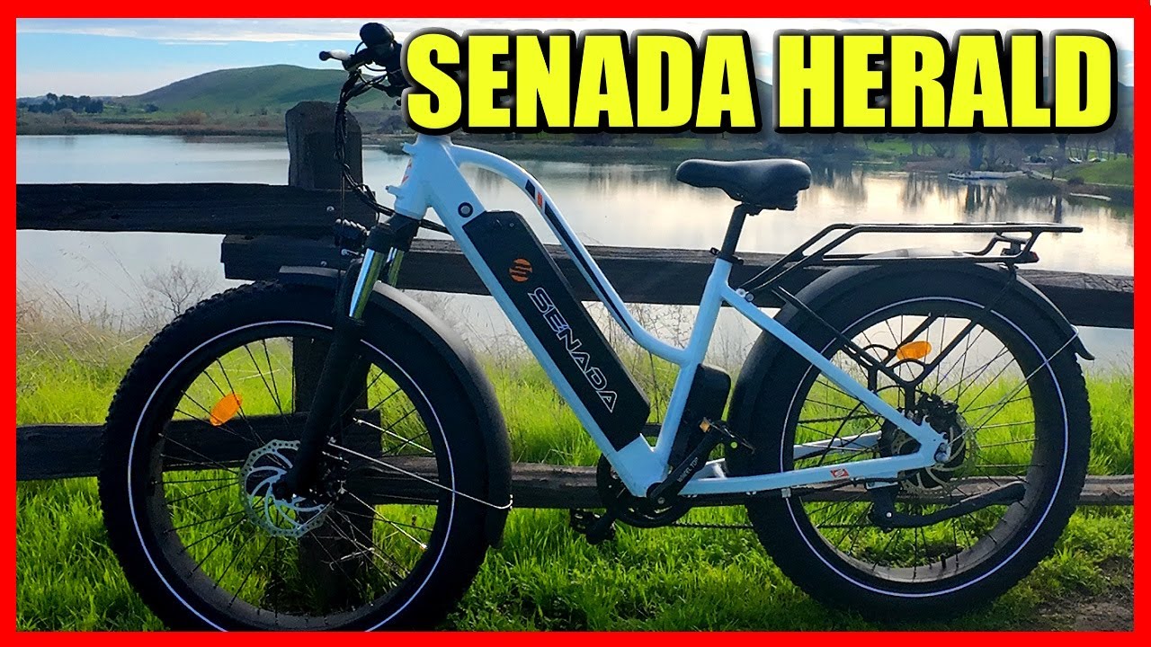 The Senada HERALD - Affordable, Powerful, and FUN!