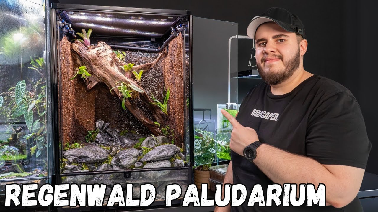 Komplettes Regenwald Paludarium einrichten | Hobby Terra Fix & Easy XXL