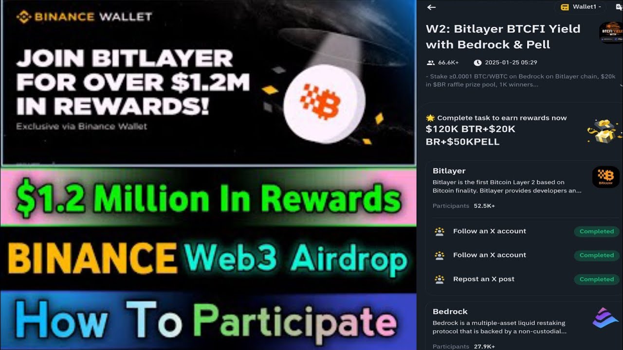 Binance Web3 Wallet Bitlayer Airdrop | Bitlayer Binance Airdrop W- 2 | Binance Web3 New Airdrop