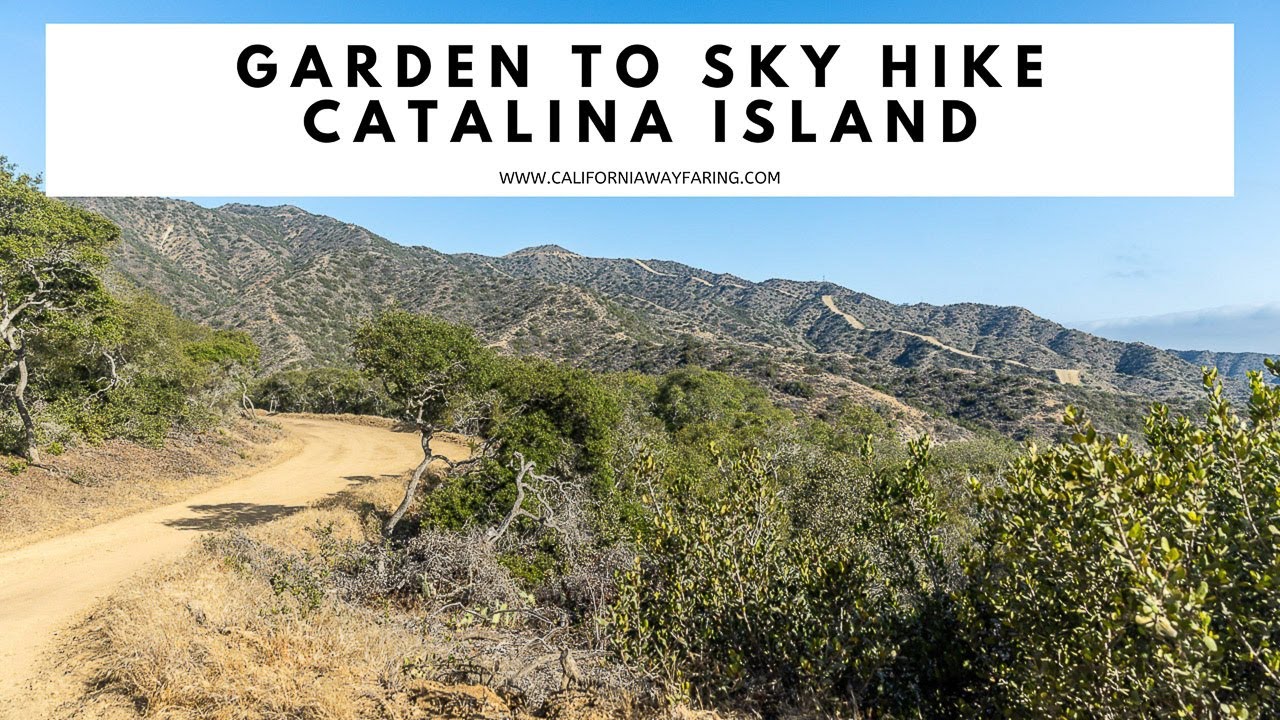 GARDEN TO SKY HIKE ON CATALINA ISLAND | Garden to Sky Trail | Wrigley Memorial and Botanic Garden