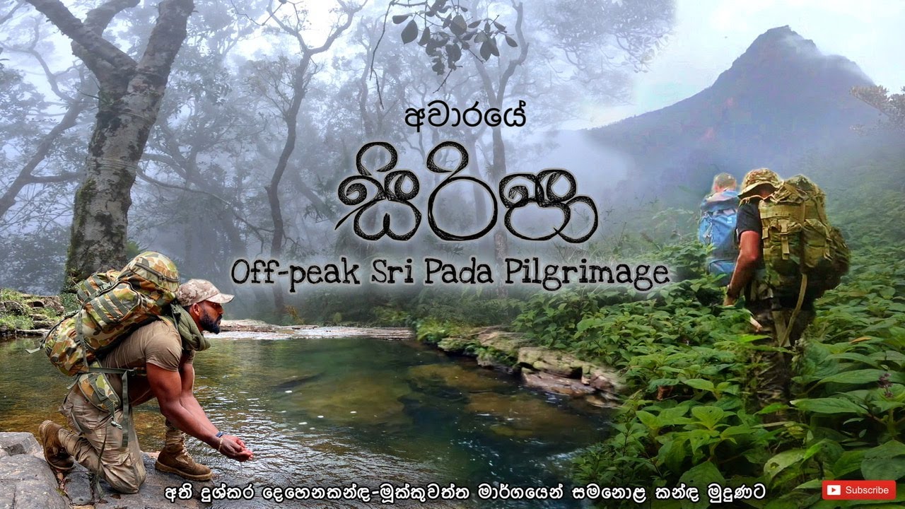 අවාරේ සිරිපා | Off season Sripada hiking | දෙහෙනකන්ද මූක්කුවත්ත හරහා කැලේ මැදින් කදු මුදුනට |#Aware