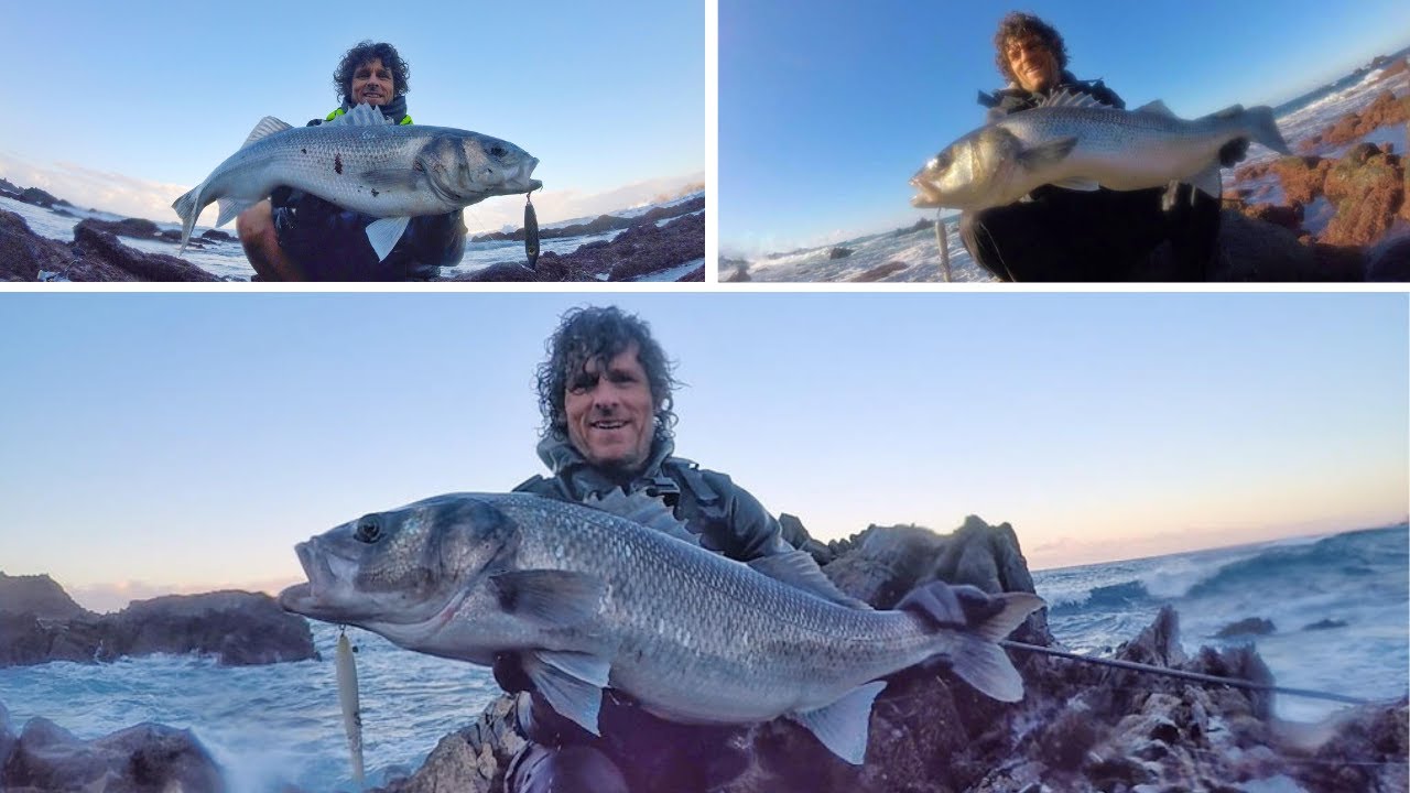18lb Sea Bass On Lures - Winter sea bass 3 double figures!!! 🎣