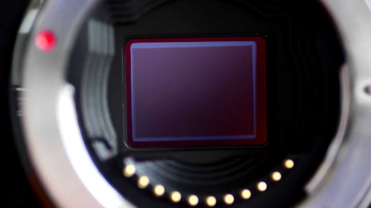 Почему я использую камеры Micro Four Thirds