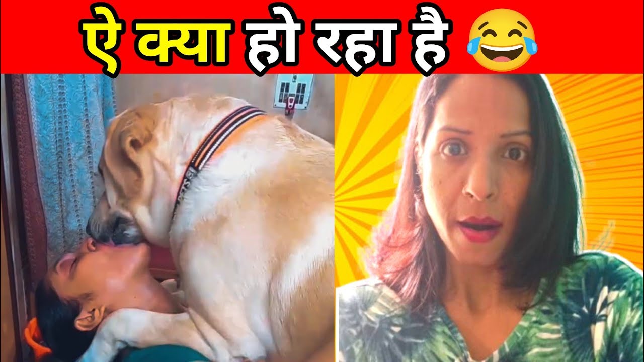Funny videos of Instagram 😂||Ritu React||#instagramreels 