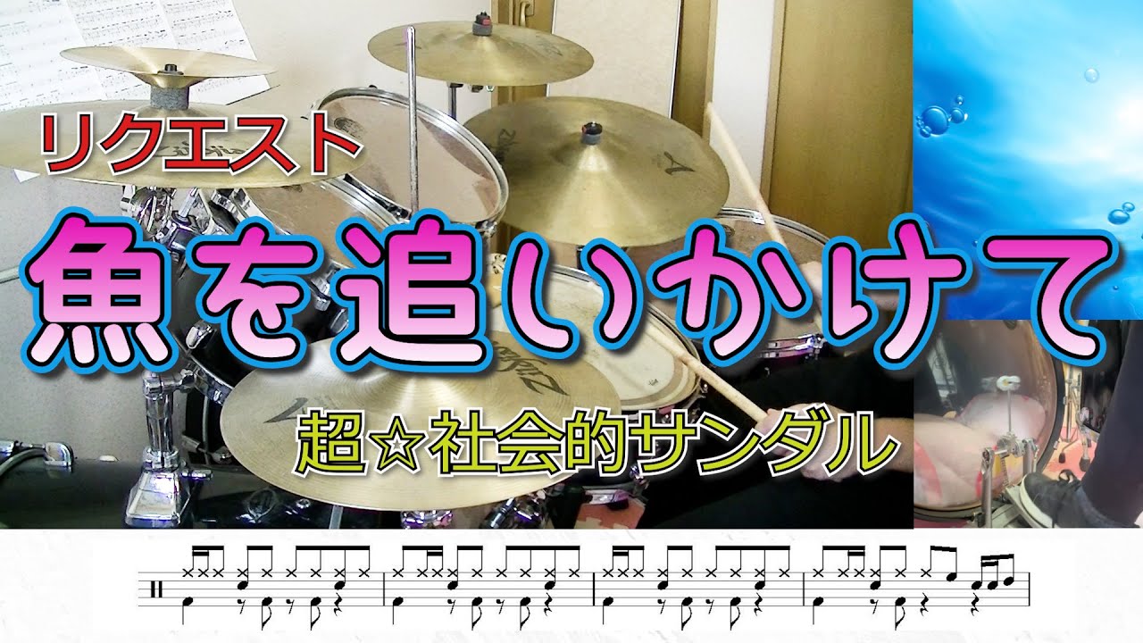 【リクエスト】超☆社会的サンダル「魚を追いかけて」を叩いてみた