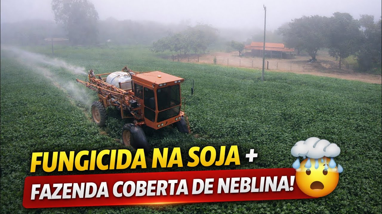 APLICAÇÃO FILMADA COM DRONE // CHOVENDO MUITO NO MARANHÃO VEIO!