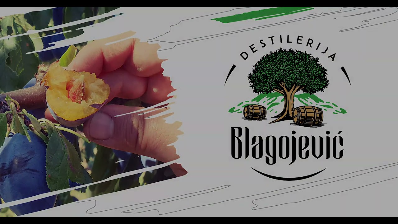 Destilerija Blagojevic Svrljig