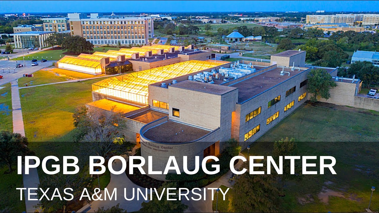 IPGB Borlaug Center TAMU