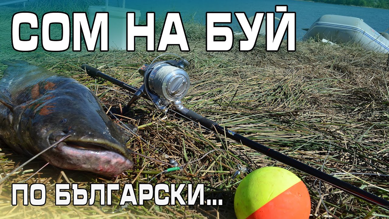 СОМ НА БУЙ по български