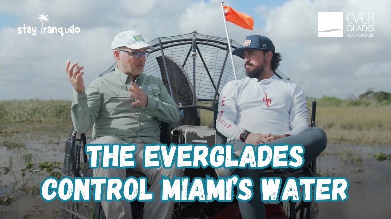 Inside the Everglades: Dr. Steve Davis on Conservation, Lake Okeechobee & Florida’s Water Supply