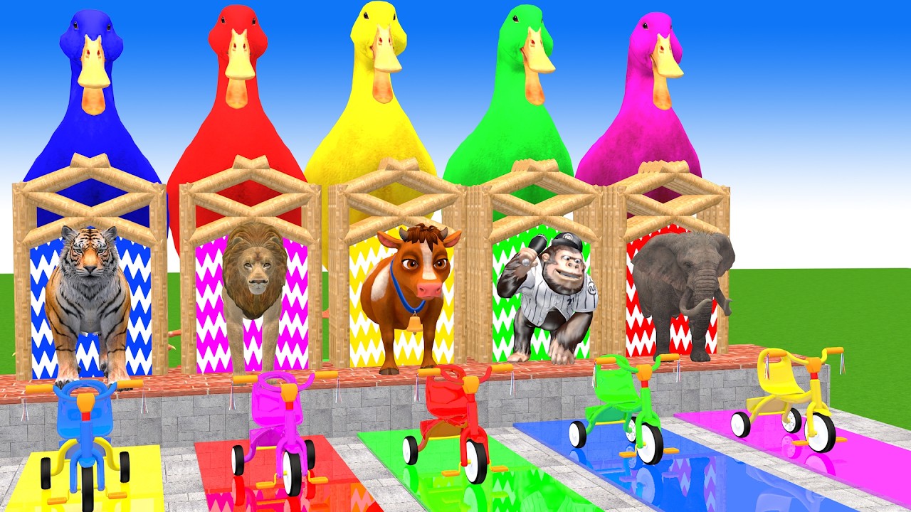 Long Slide Game With Cow Elephant Gorilla Hippopotamus Tiger 3d Animal Game Funny 3d Animals