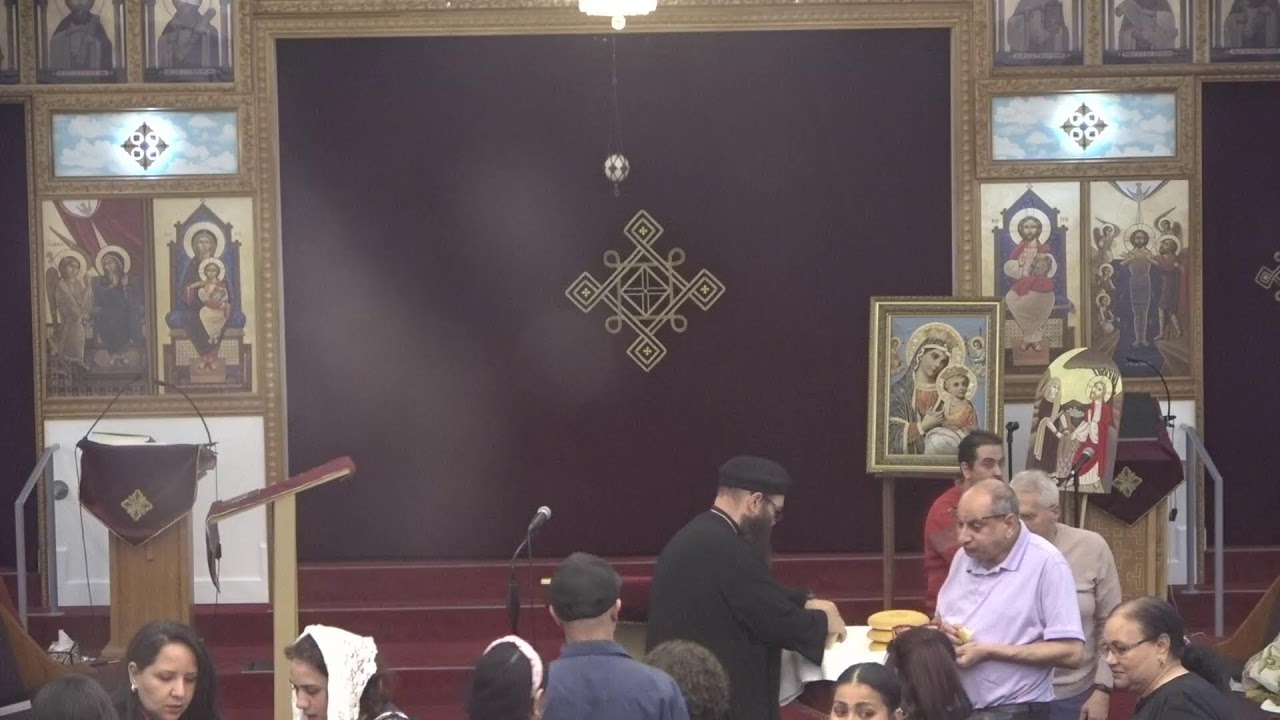 Live Stream