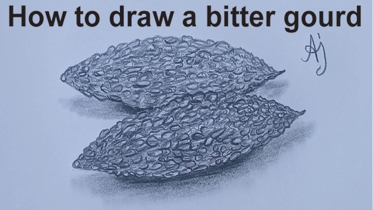 How to draw bitter gourd | bitter gourd drawing step by step | How to draw karela