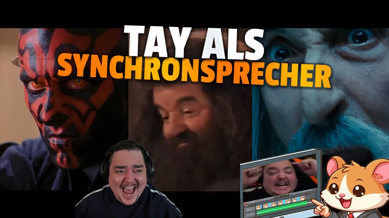 Tay als Synchronsprecher/Hamster Memes 🔸 Special Highlights 🔸 Mastertay