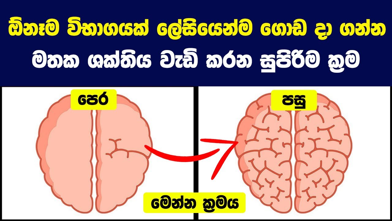 ඕනෑම විභාගයක් ලේසියෙන්ම ගොඩ දා ගන්න මතක ශක්තිය වැඩි කරන සුපිරිම ක්‍රම| Increase Brain Memory Power