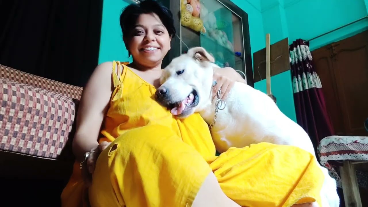 Gullu my Pet