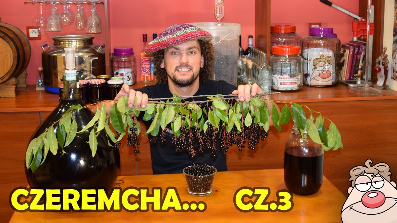 Wino z czeremchy część 3 - Czy warto?
