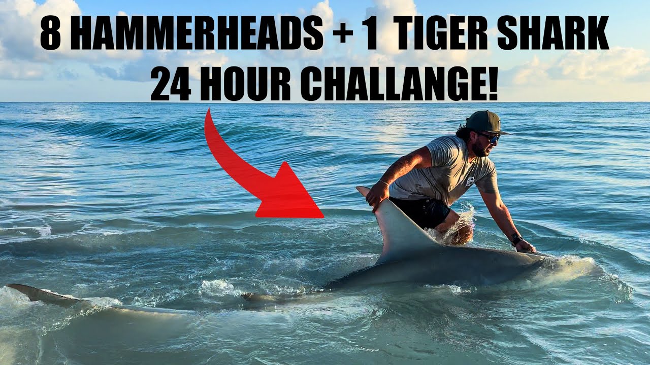 24 HOUR SHARK CHALLENGE (9 Giant Sharks) 
