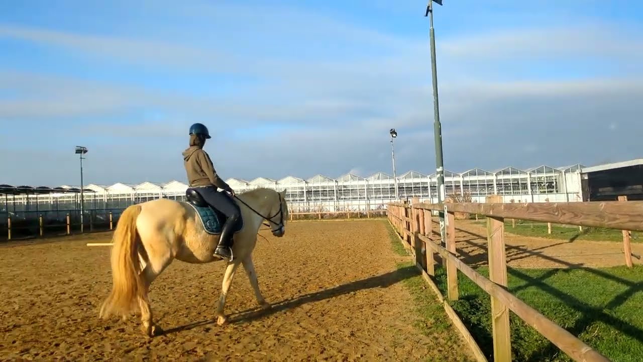 Geen highlights, maar de hele training | dressuur met uitleg 🎙️| 𝘚𝘯𝘶𝘪𝘵𝘢𝘣𝘭𝘦