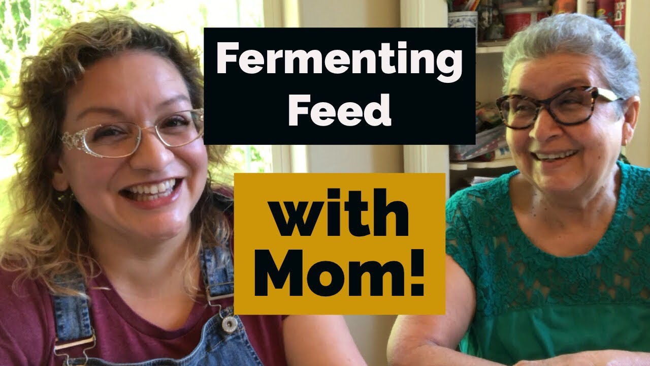 How to Ferment Chicken Feed | Fermenting Feed for Backyard Chickens