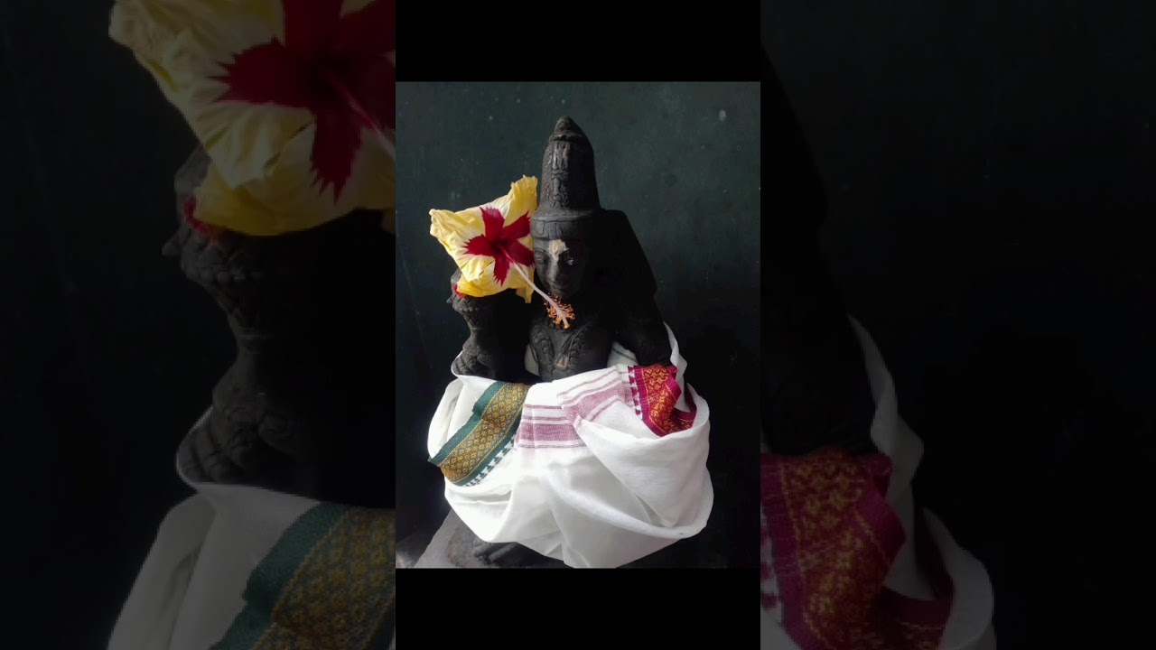 Paal kodam on thaipoosam, karumari Amman kovil attipattu 