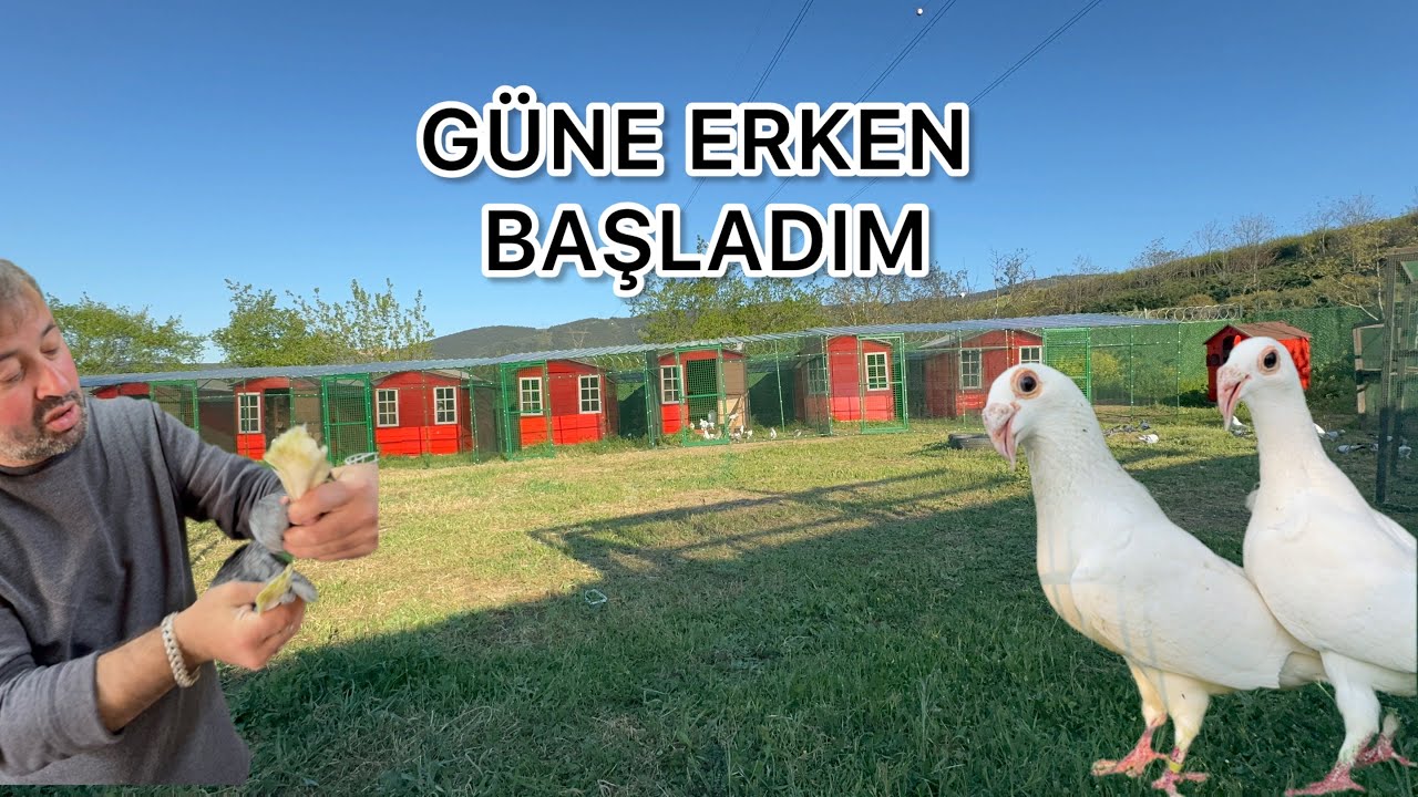 YENİ GÜNE BİZMİLLAH KUŞ UÇURDUK KAÇIRDIK AMA BİZ BU SPORU YAPICAZ DEMEDİ DEMEYİN
