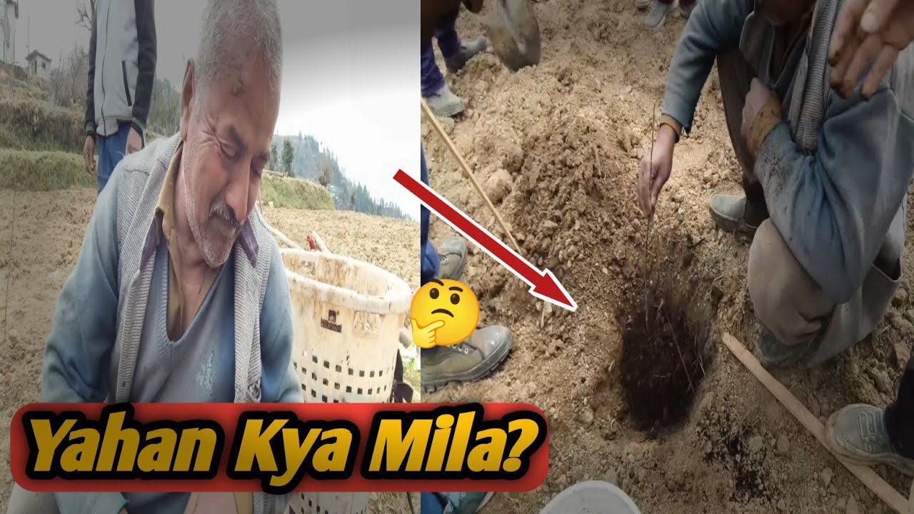 Pahadon Me Apple Ki Aisi Plantation Dekhkar Ye Kya Bol Pade? 😲 | Pahadi Lifestyle Vlog