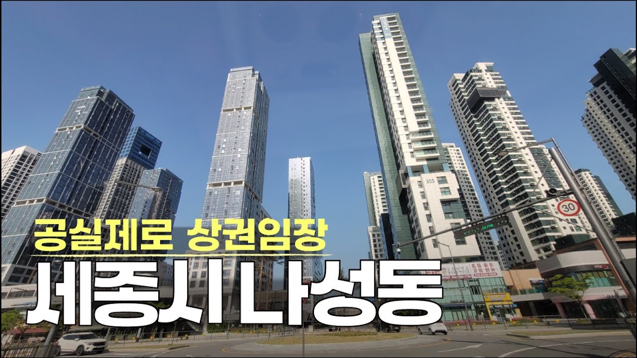 살아나는 상권 세종시 나성동 상권임장 세종시 상업지역  [수정]