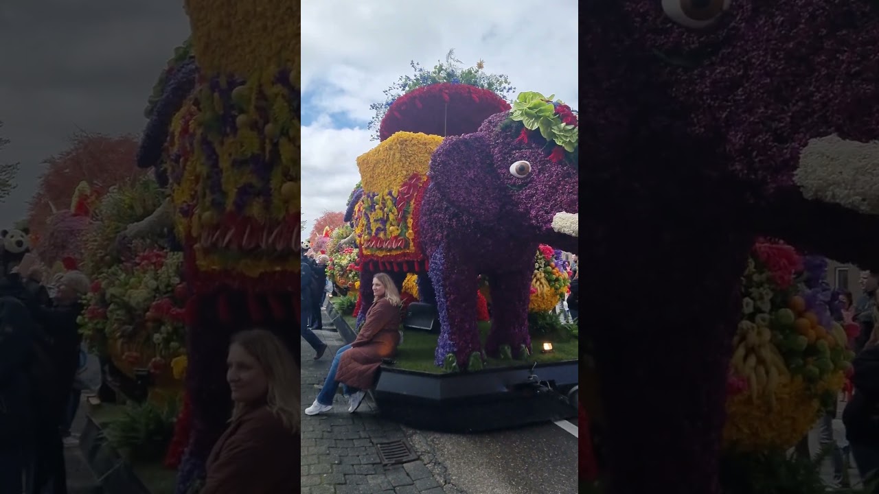 Keukenhof Niederlande 2024. Blumenkorso in den Niederlanden 2024.