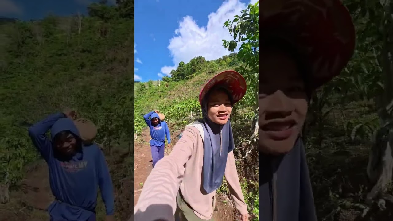 Diajakin suami panen labu kuning dan cabai di kebun bawah